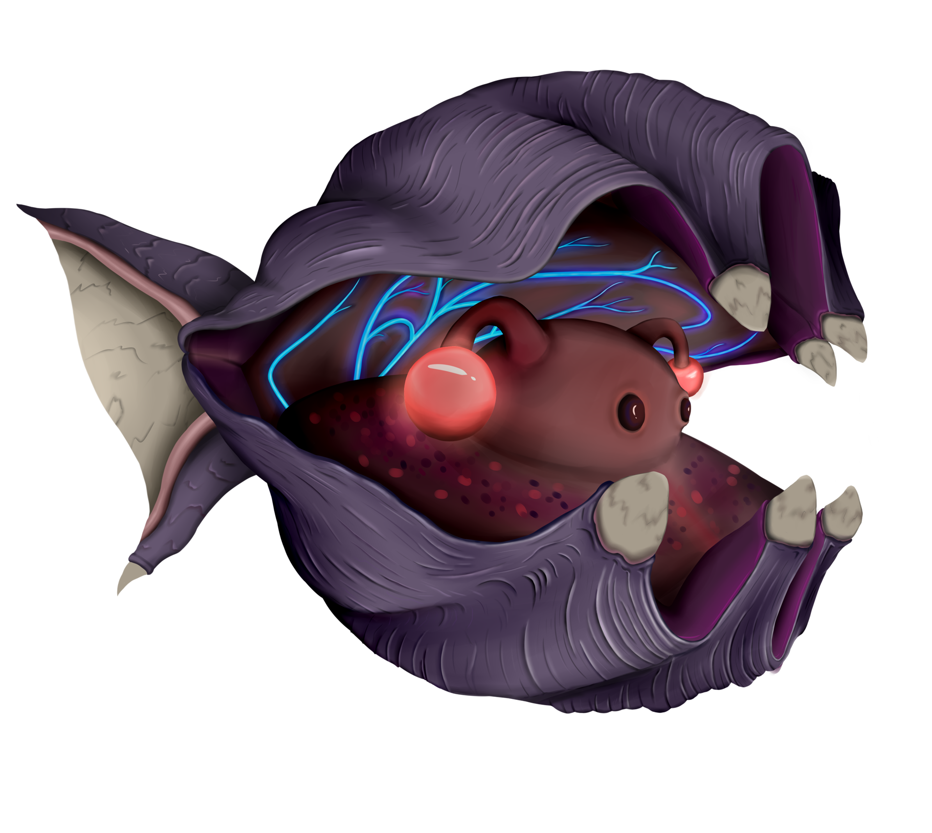 Ilushell